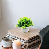 Maxbell Fake Plant in Pot Photo Props Faux Bonsai for Farmhouse Room Indoor Bedroom