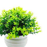 Maxbell Fake Plant in Pot Photo Props Faux Bonsai for Farmhouse Room Indoor Bedroom