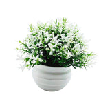 Maxbell Fake Plant in Pot Photo Props Faux Bonsai for Farmhouse Room Indoor Bedroom