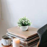 Maxbell Fake Plant in Pot Photo Props Faux Bonsai for Farmhouse Room Indoor Bedroom