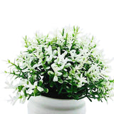 Maxbell Fake Plant in Pot Photo Props Faux Bonsai for Farmhouse Room Indoor Bedroom