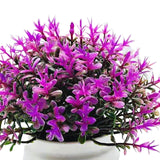 Maxbell Fake Plant in Pot Photo Props Faux Bonsai for Farmhouse Room Indoor Bedroom