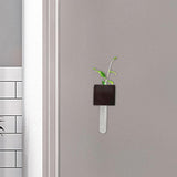 Maxbell Maxbell Mini Refrigerator Vase Magnets Plant Refrigerator Magnet for Kitchen Bedroom Walnut L