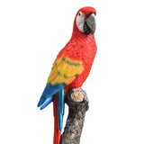 Maxbell Parrot Figurine Souvenir Resin Animal Sculpture for Indoor Table Living Room