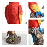 Maxbell Parrot Figurine Souvenir Resin Animal Sculpture for Indoor Table Living Room