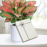 Maxbell Maxbell Empty Gift Box Lightweight Mother's Day for Birthday Valentines Celebrations White and Gray