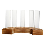 Maxbell Maxbell Glass Test Tube Vases Planter Terrarium Decor Home Plant Propagation Station