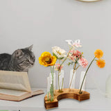 Maxbell Maxbell Glass Test Tube Vases Planter Terrarium Decor Home Plant Propagation Station