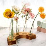 Maxbell Maxbell Glass Test Tube Vases Planter Terrarium Decor Home Plant Propagation Station