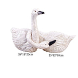 2x Swan Statues Couple Swan Figurines Birthday Gift Cabinet Resin Sculptures Style C