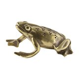 Maxbell Maxbell Mini Frog Statue Home Decor Toy Gifts Brass Figurine for Office Home Cabinet