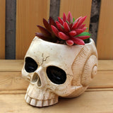 Maxbell Maxbell Skull Planter Pot Skeleton Head Resin Desktop Ornament for Desk Bedroom Home