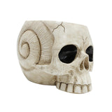 Maxbell Maxbell Skull Planter Pot Skeleton Head Resin Desktop Ornament for Desk Bedroom Home