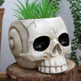 Maxbell Maxbell Skull Planter Pot Skeleton Head Resin Desktop Ornament for Desk Bedroom Home