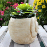 Maxbell Maxbell Skull Planter Pot Skeleton Head Resin Desktop Ornament for Desk Bedroom Home