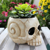 Maxbell Maxbell Skull Planter Pot Skeleton Head Resin Desktop Ornament for Desk Bedroom Home