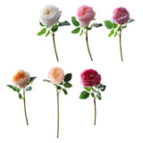 Maxbell Maxbell Artificial Rose Flower for Her Girlfriend Women Wife Mom Birthday Mother Day White