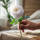 Maxbell Maxbell Artificial Rose Flower for Her Girlfriend Women Wife Mom Birthday Mother Day White
