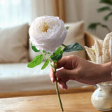 Maxbell Maxbell Artificial Rose Flower for Her Girlfriend Women Wife Mom Birthday Mother Day White