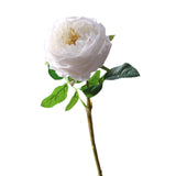Maxbell Maxbell Artificial Rose Flower for Her Girlfriend Women Wife Mom Birthday Mother Day White