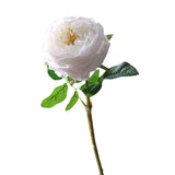 Maxbell Maxbell Artificial Rose Flower for Her Girlfriend Women Wife Mom Birthday Mother Day White