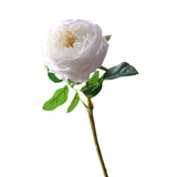 Maxbell Maxbell Artificial Rose Flower for Her Girlfriend Women Wife Mom Birthday Mother Day White
