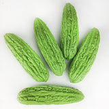 Maxbell Maxbell Simulation Bitter Melon Realistic Vegetable for Fruit Shops Garden Festivals