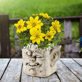 Funny Head Face Statue Flowerpot Plant Pot Polyresin for Decorating Entrance Vampire