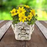 Funny Head Face Statue Flowerpot Plant Pot Polyresin for Decorating Entrance Vampire