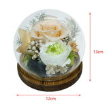 Maxbell Light up Rose in Glass Dome with Wood Base Home Decor Women Preserved Flower Champagne