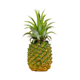 Maxbell Maxbell Artificial Pineapple Figurine Pineapple Ornament for Children Education Home 9cmx21cm