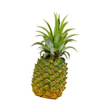 Maxbell Maxbell Artificial Pineapple Figurine Pineapple Ornament for Children Education Home 9cmx21cm
