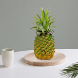 Maxbell Maxbell Artificial Pineapple Figurine Pineapple Ornament for Children Education Home 9cmx21cm