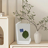Maxbell Maxbell Pressed Flowers Frame Ornament for Family Friends DIY Gifts Tabletop Display White