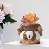 Maxbell Maxbell Animal Planter Flower Vase Shelf Farmhouse Display Office Pottery Plant Pot Raccoon9.7x8.7x8.1cm