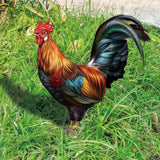 Decorative Garden Insert Hen Hen Animals Stakes for Pathway Farm Outdoor