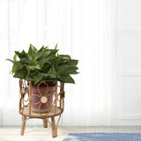 Handwoven Plant Stand Planter Rack Hotel Plant Table Corner Flowerpot Holder 21x28cm