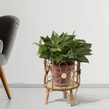 Handwoven Plant Stand Planter Rack Hotel Plant Table Corner Flowerpot Holder 21x28cm
