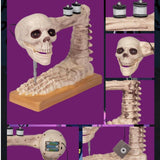 Maxbell Skeleton Sewing Machine Figurine Prank Voice Controlled Halloween Decoration