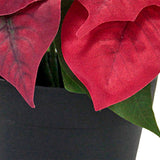 Christmas Artificial Poinsettia Plant Realistic for Festival Window Tabletop Style B