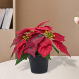 Christmas Artificial Poinsettia Plant Realistic for Festival Window Tabletop Style B