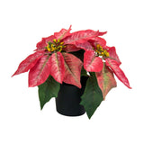 Christmas Artificial Poinsettia Plant Realistic for Festival Window Tabletop Style C