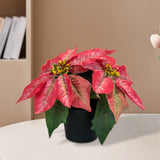 Christmas Artificial Poinsettia Plant Realistic for Festival Window Tabletop Style C