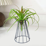 Air Plant Holder Wedding Flower Stand for Engagement Anniversary Celebration Black