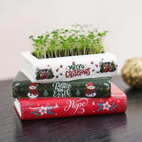 Christmas Succulents Planter Handicraft Tray for Living Room Indoor