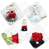 Forever Rose Ornament Elegant Preserved Rose in Glass for Mum Daughter Women red