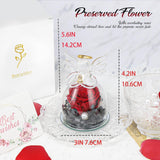 Forever Rose Ornament Elegant Preserved Rose in Glass for Mum Daughter Women red