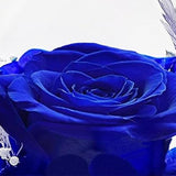 Forever Rose Ornament Elegant Preserved Rose in Glass for Mum Daughter Women blue