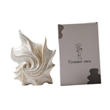 Maxbell Conch Shaped Flower Vase Floral Arrangement for Entrance Living Room Bedroom Color Box Packaging