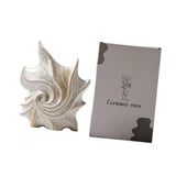 Maxbell Conch Shaped Flower Vase Floral Arrangement for Entrance Living Room Bedroom Color Box Packaging
